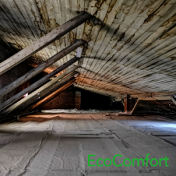 The Dangers of DIY Mold Removal in Your Attic