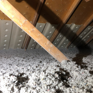 Blown-In Cellulose Insulation Vaughan