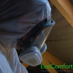 What You Need to Know About Cellulose and Mold In Your Attic
