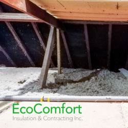 Why Adequate Attic Insulation is Crucial to Your Roof