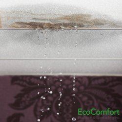 When is Your Attic Roof Leak Considered an Emergency?