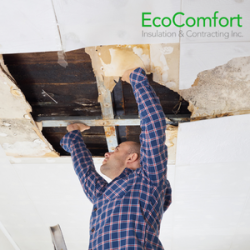 Attic Air Leak vs Water Leak Repair