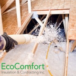 Spring Cleaning for Your Attic Insulation
