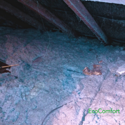 Why Remove Attic Insulation Before Upgrading?