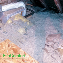 What Causes Black Spots on Attic Insulation in Mississauga