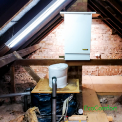 What are Pests Doing in Your Attic Insulation?