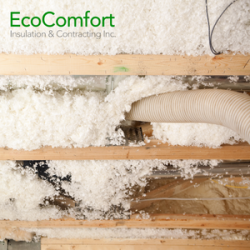 A Guide to Attic Insulation Before Selling Your Home In Mississauga