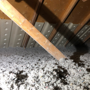 Blown-In Cellulose Insulation Burlington