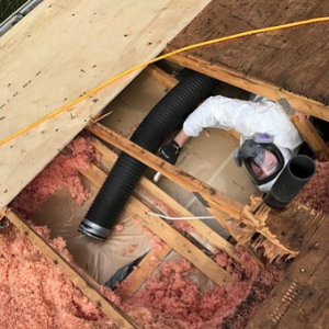 Attic Insulation Removal Burlington