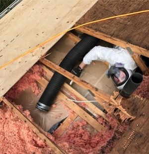 Attic Insulation Removal