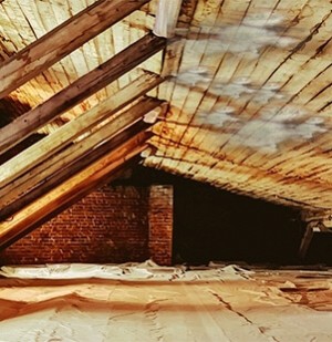 Attic Mold Remediation