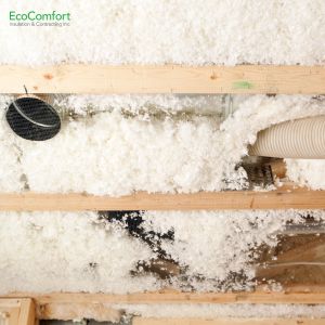 Understanding the Cost Factors of Blown-In Insulation in Toronto