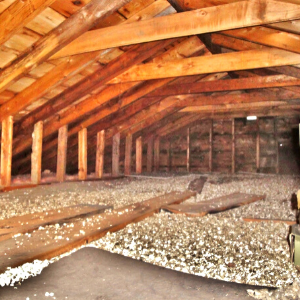 Mould in your attic insulation? Next steps.