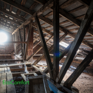 How to Stop Recurring Mould Outbreaks in The Attic