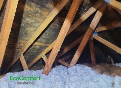 How to Tell If Attic Condensation Is Turning Into Mold in Mississauga