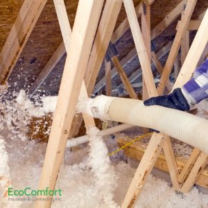 What to Do After Decontaminating Your Attic