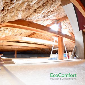 Why Mouldy Insulation Requires Removal