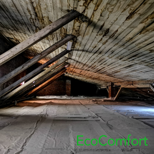 The Dangers of DIY Mould Removal in Your Attic