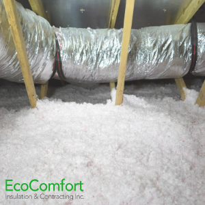 The Value of an Energy Efficient Home In Toronto