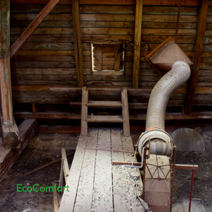 What is Your Risk of Attic Mould in Toronto