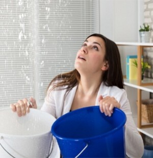 EcoComfort Insulation & Contracting Inc.