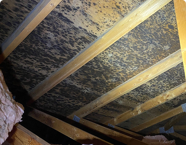 EcoComfort Insulation & Contracting Inc.