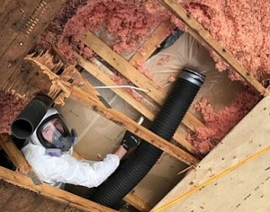 EcoComfort Insulation & Contracting Inc.
