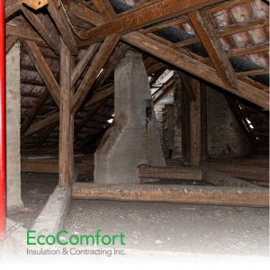 attic insulation removal Toronto