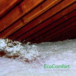 cellulose blown-in insulation Toronto