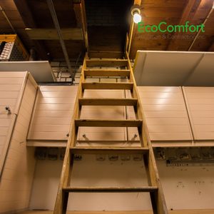 attic mold remediation Toronto