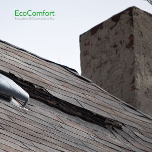 attic roof leak repair