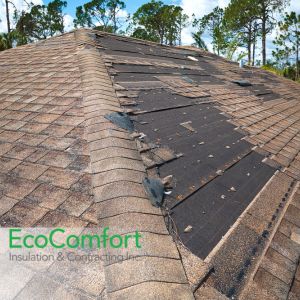 attic roof leak repair