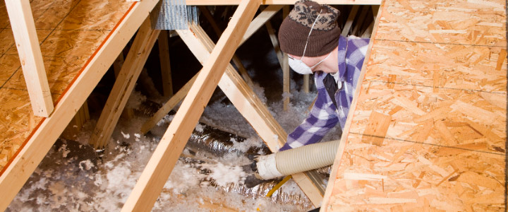 attic inspection company Mississauga