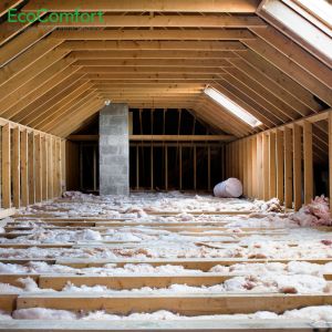 attic inspection mississauga