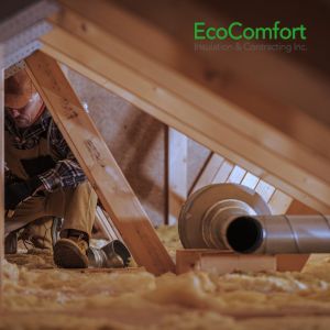attic insulation removal Mississauga