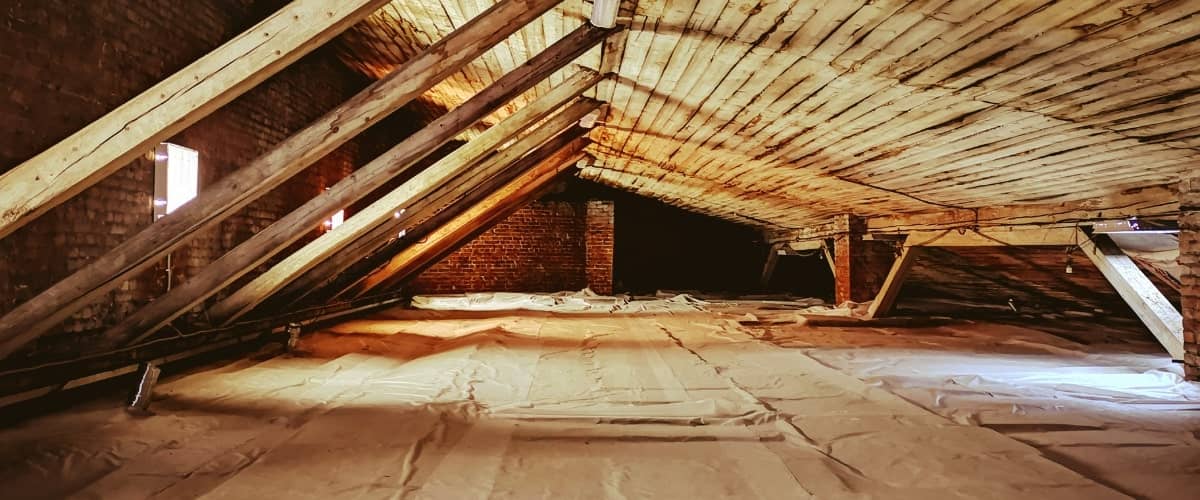 attic mold remediation Toronto