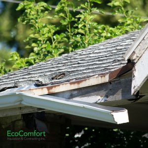 attic roof leak repair for insulation
