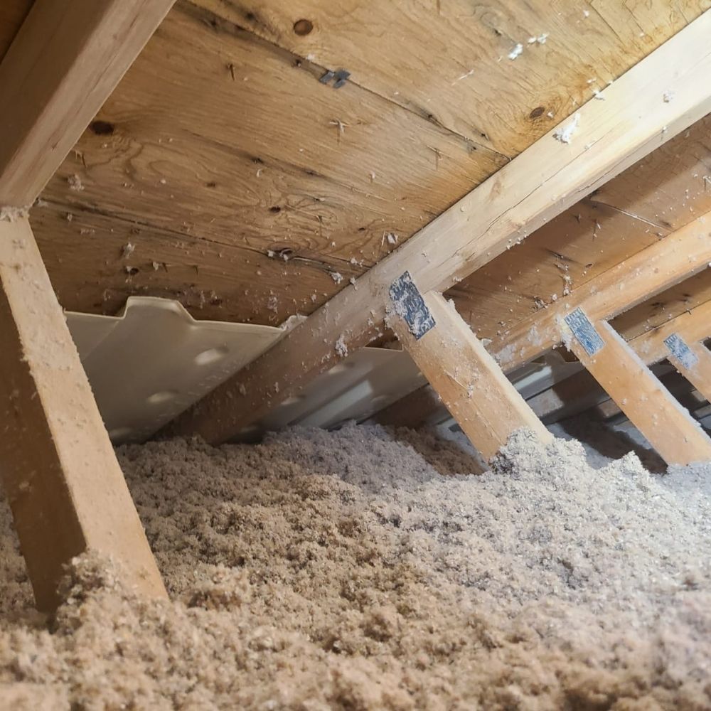attic mould remediation after