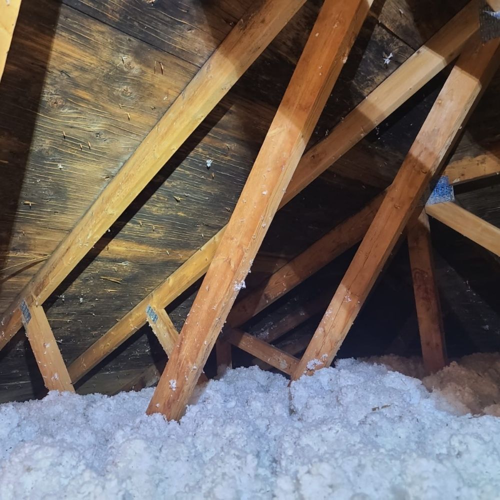 attic mould contamination