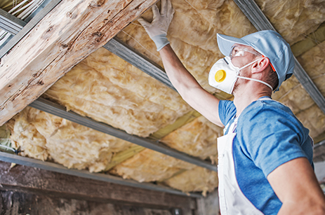 attic inspection