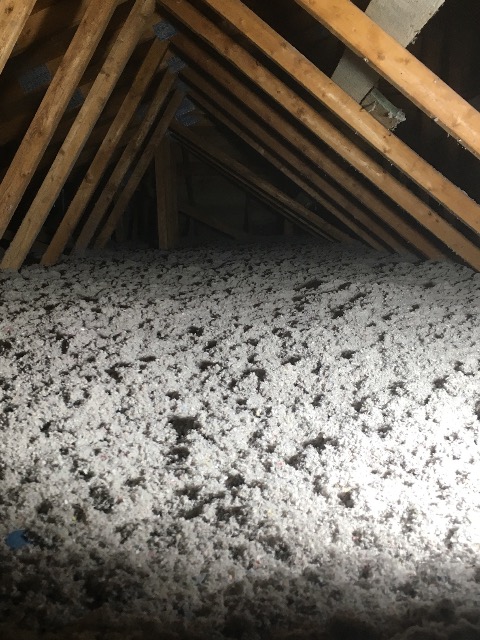 damaged attic insulation