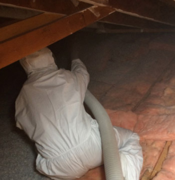 attic insulation removal toronto